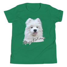 Load image into Gallery viewer, "Merry Cub-Mas" Youth Short Sleeve T-Shirt