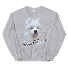 Load image into Gallery viewer, "Merry Cub-Mas" Unisex Sweatshirt