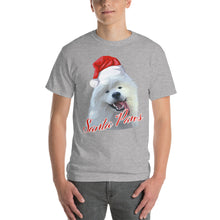 Load image into Gallery viewer, &quot;Santa Paws&quot; Short Sleeve T-Shirt
