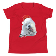 Load image into Gallery viewer, &quot;Merry Cub-Mas&quot; Youth Short Sleeve T-Shirt
