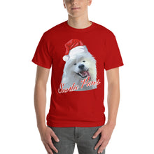 Load image into Gallery viewer, &quot;Santa Paws&quot; Short Sleeve T-Shirt
