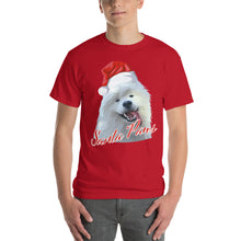 Load image into Gallery viewer, &quot;Santa Paws&quot; Short Sleeve T-Shirt
