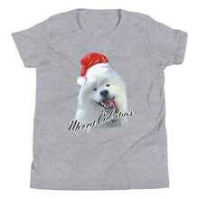 Load image into Gallery viewer, &quot;Merry Cub-Mas&quot; Youth Short Sleeve T-Shirt
