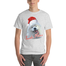 Load image into Gallery viewer, &quot;Santa Paws&quot; Short Sleeve T-Shirt
